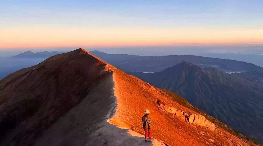 1739516779-14-02-2025-CtlfA9BS8pQ0EdnjTysHPcXGmUrxbzaV